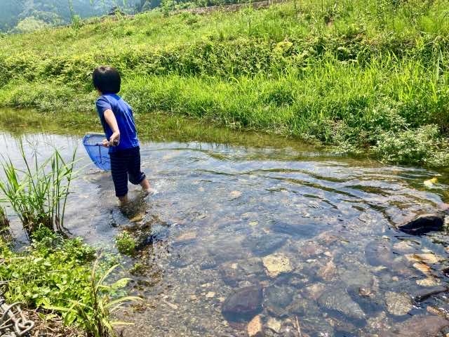 網を使って川の魚を捕まている子ども