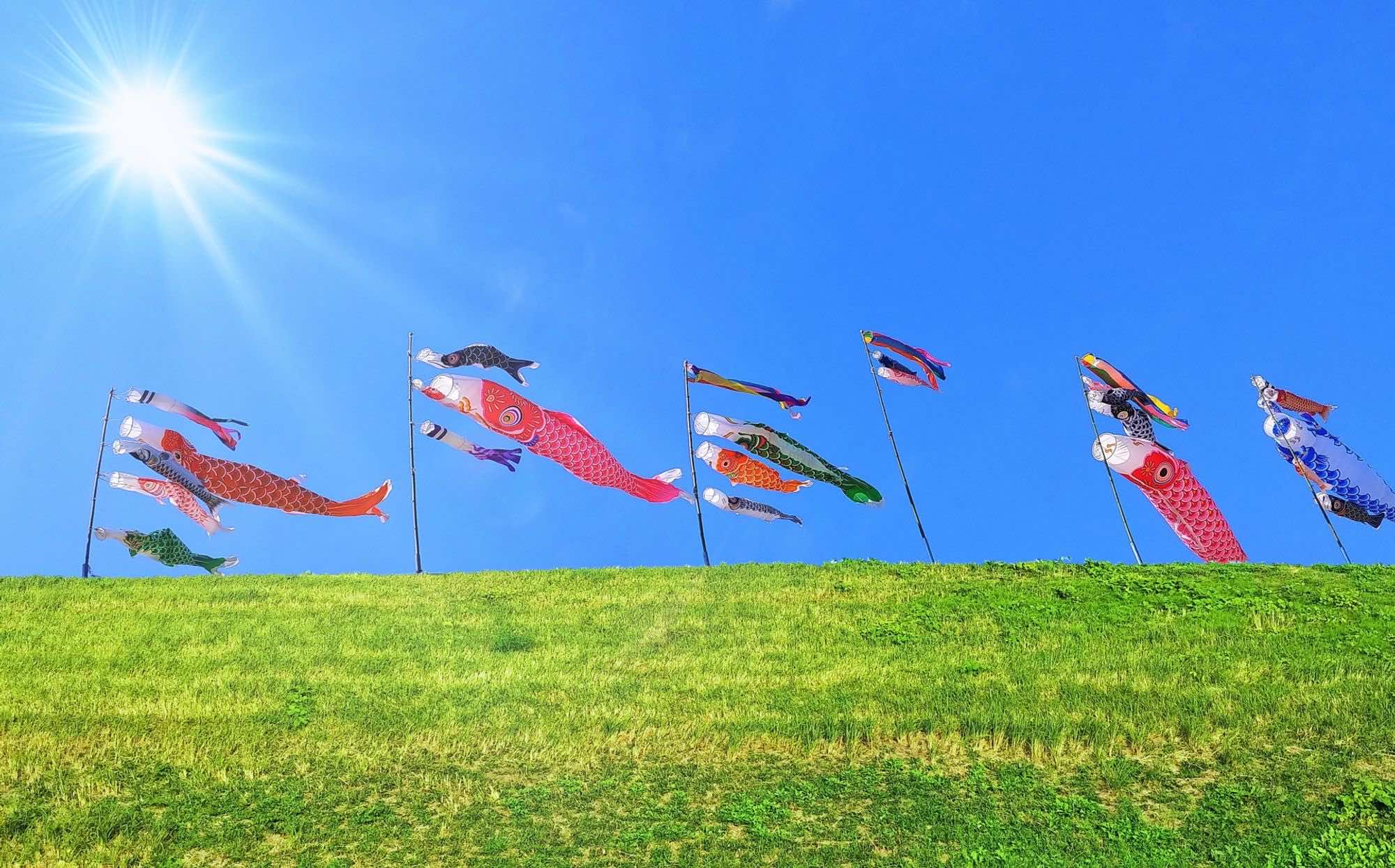 たくさんの鯉のぼりが風に揺られている様子