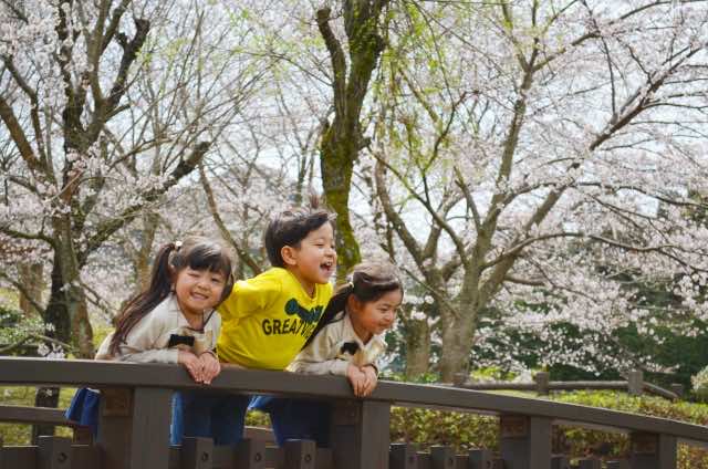 桜の木下で橋の上から下を見ている3人の子どもたち